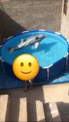 Piscine tubulaire intex 