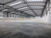 Location Hangar Alger Les eucalyptus