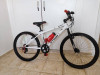 VTT bitwin Rockrider 300