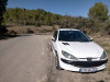 Peugeot 206 2004 206