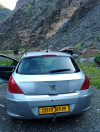 Peugeot 308 2009 Platinum 