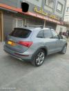 Audi Q5 2010 Off Road