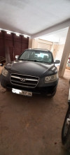 Hyundai Santafe 2007 Santafe