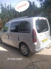 Citroen Berlingo 2009 Berlingo