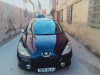 Peugeot 307 2006 Oxygo