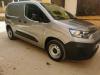 Fiat Doblo 2024 professional