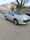 Peugeot 308 2010 Platinum 