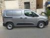 Fiat Professional Doblo 2024 Professional