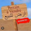 Vente Terrain Chlef Sobha