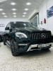 Mercedes ML 2014 250 CDI Pack AMG