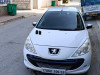 Peugeot 206 Plus 2009 206 Plus