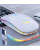 AP100 Wireless charging mouse