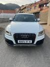 Audi Q5 2017 Off Road