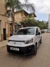 Fiat Doblo profsonl 2024 Profsonal