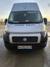 Fiat Dicato maxi 2013