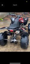 Vms Raptor 250 2022