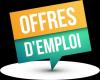 Offre d'emploi 