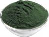 Spiruline Spirulina en Gros / سبيرولينا سبيرولين جملة