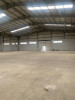 Location Hangar Blida Boufarik