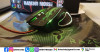 Souris Gaming Adr 2028 + Tapis offert