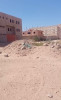 Vente Terrain Ouargla Sidi khouiled