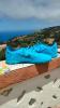 Soulier tarton Original Nike Mercurial vapor 14 club pointure 40