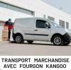 Chauffeur-livreur-commercial