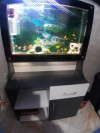 Aquarium avec meuble d'origine avec équipement, accessoires et 15 poissons 