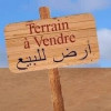 Vente Terrain Blida Bouinan