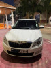 Skoda Fabia 2013 Style