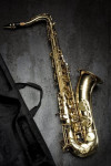 Prof de musique (saxophone)