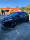 Ford Fiesta 2010 