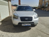 Hyundai SantaFe 2009 SantaFe