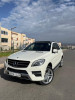 Mercedes ML 2013 Ml 250