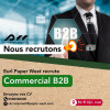 Commercial B2B / Agent de Prospection B2B