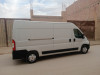 Fiat Ducato 2023