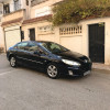 Peugeot 407 2008 407