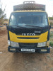 C13 Loencino iveco 2013