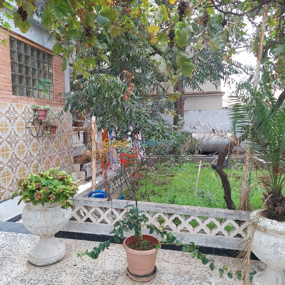 Vente Villa Alger Bordj el bahri