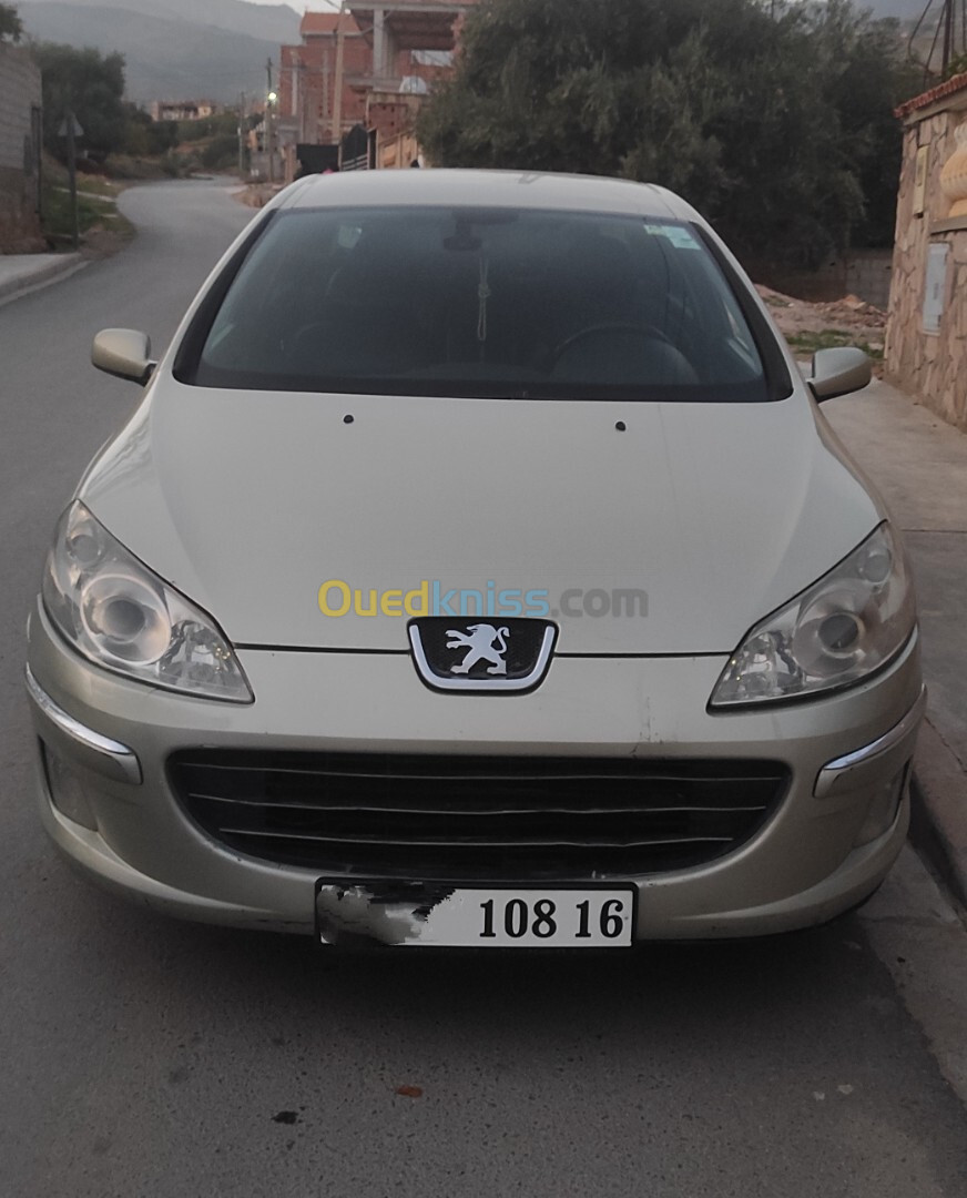 Peugeot 407 2008 407