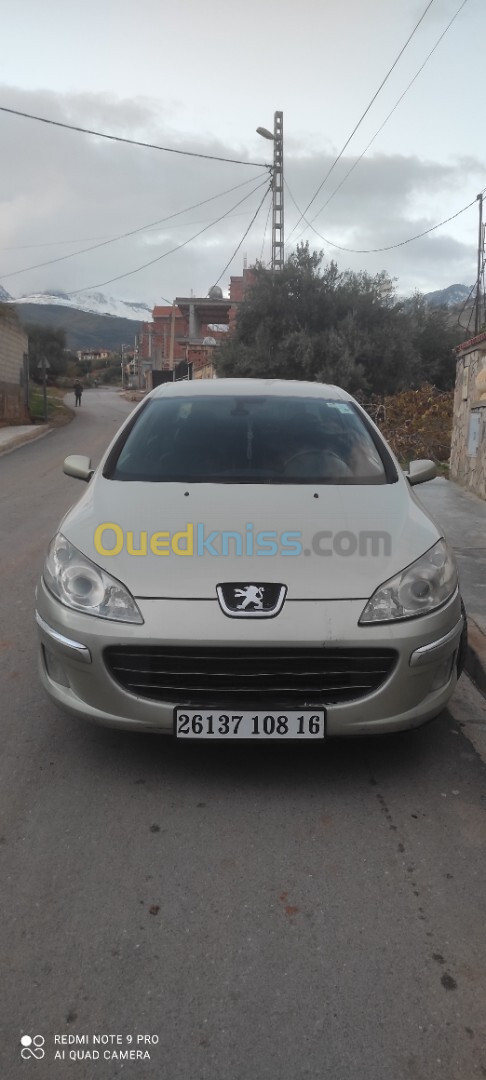 Peugeot 407 2008 407