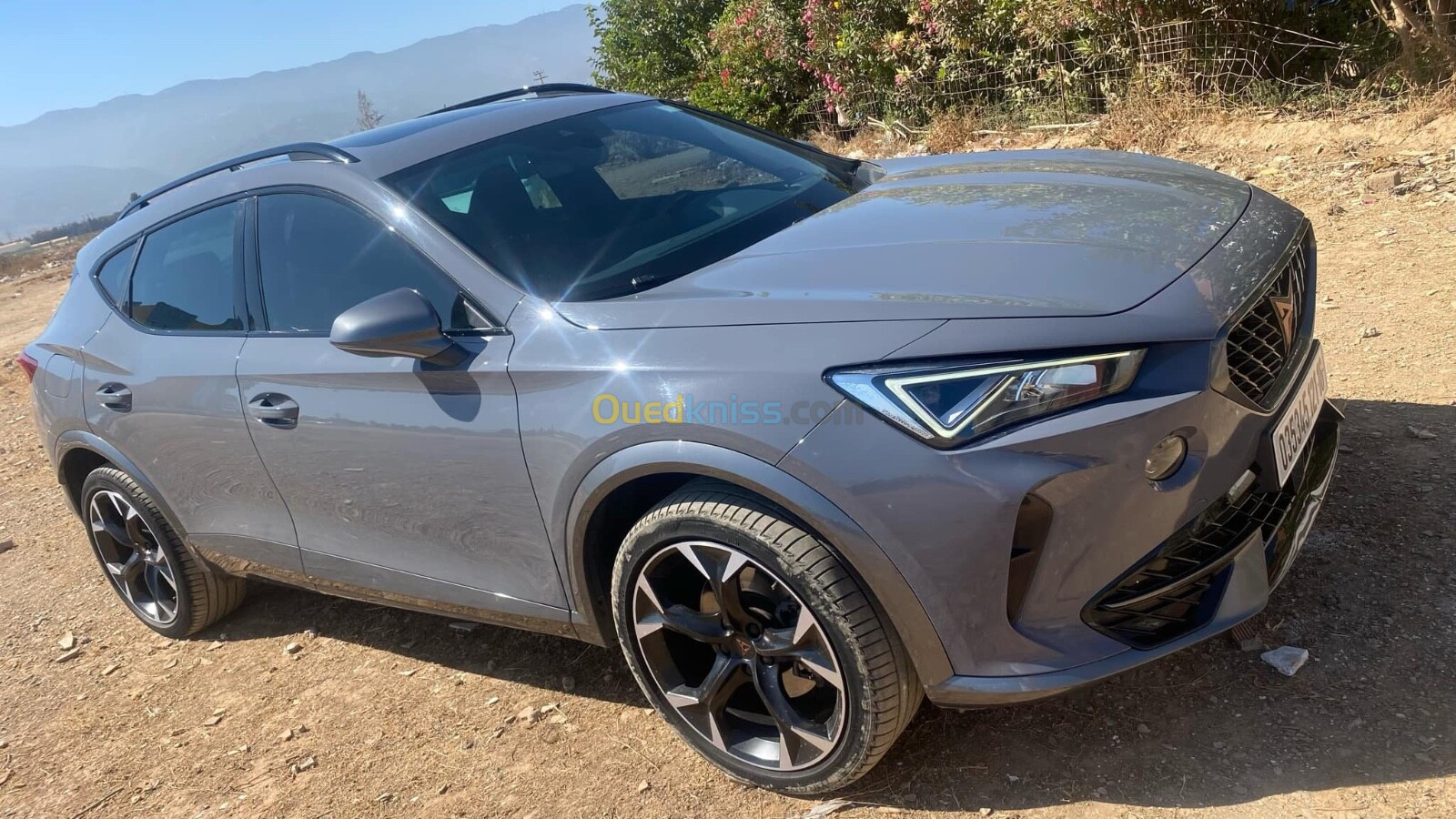 Seat Cupra formenter 2021 