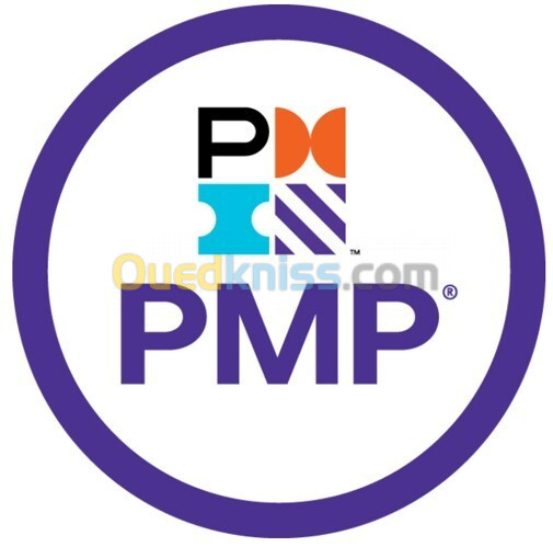 Formation Gestion de projet PMP - Project Management Professional