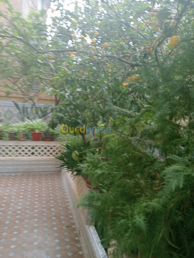 Vente Villa Alger Draria