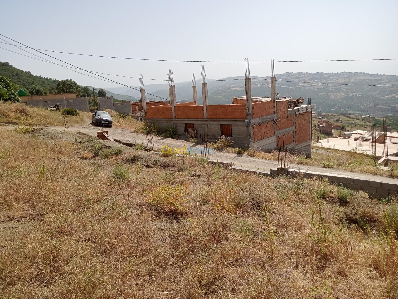 Vente Terrain Boumerdès Larbatache