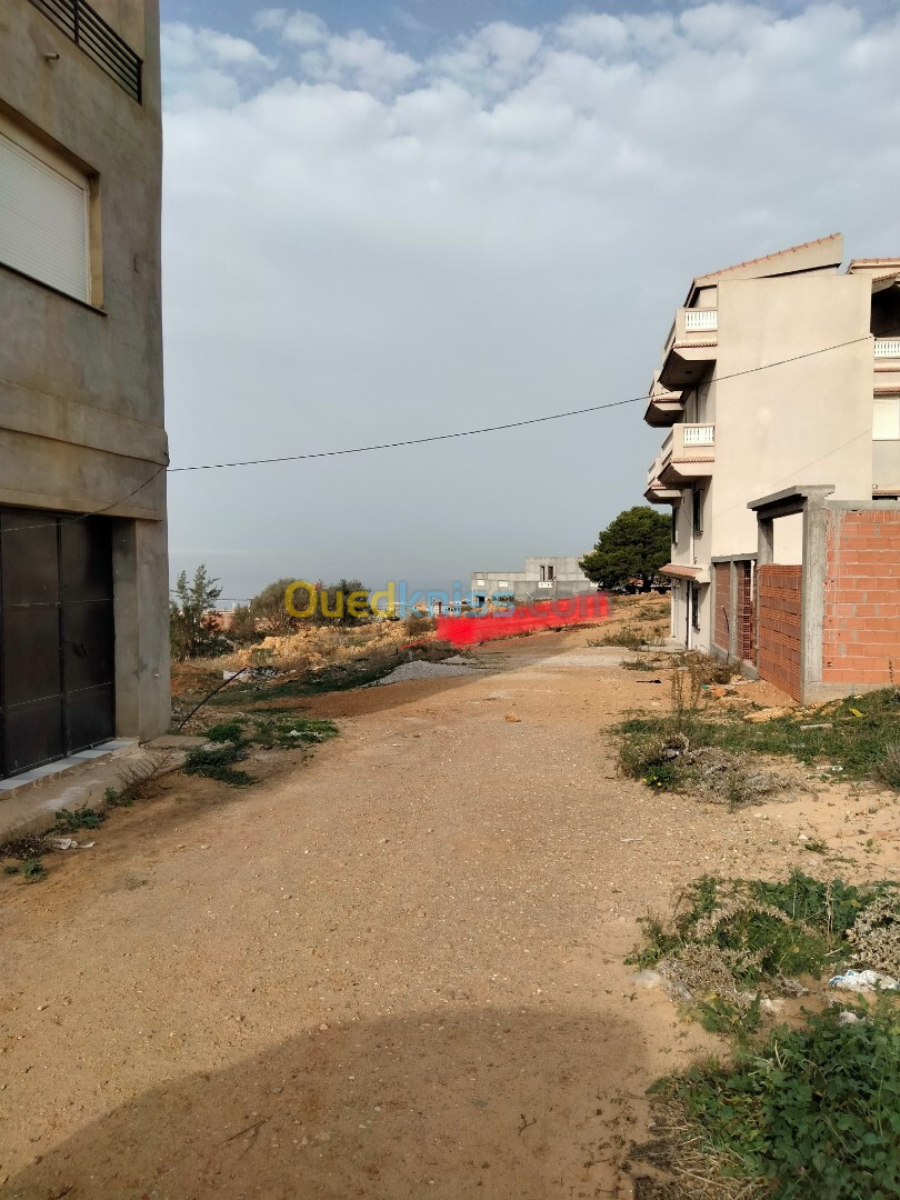 Vente Terrain Tipaza Cherchell