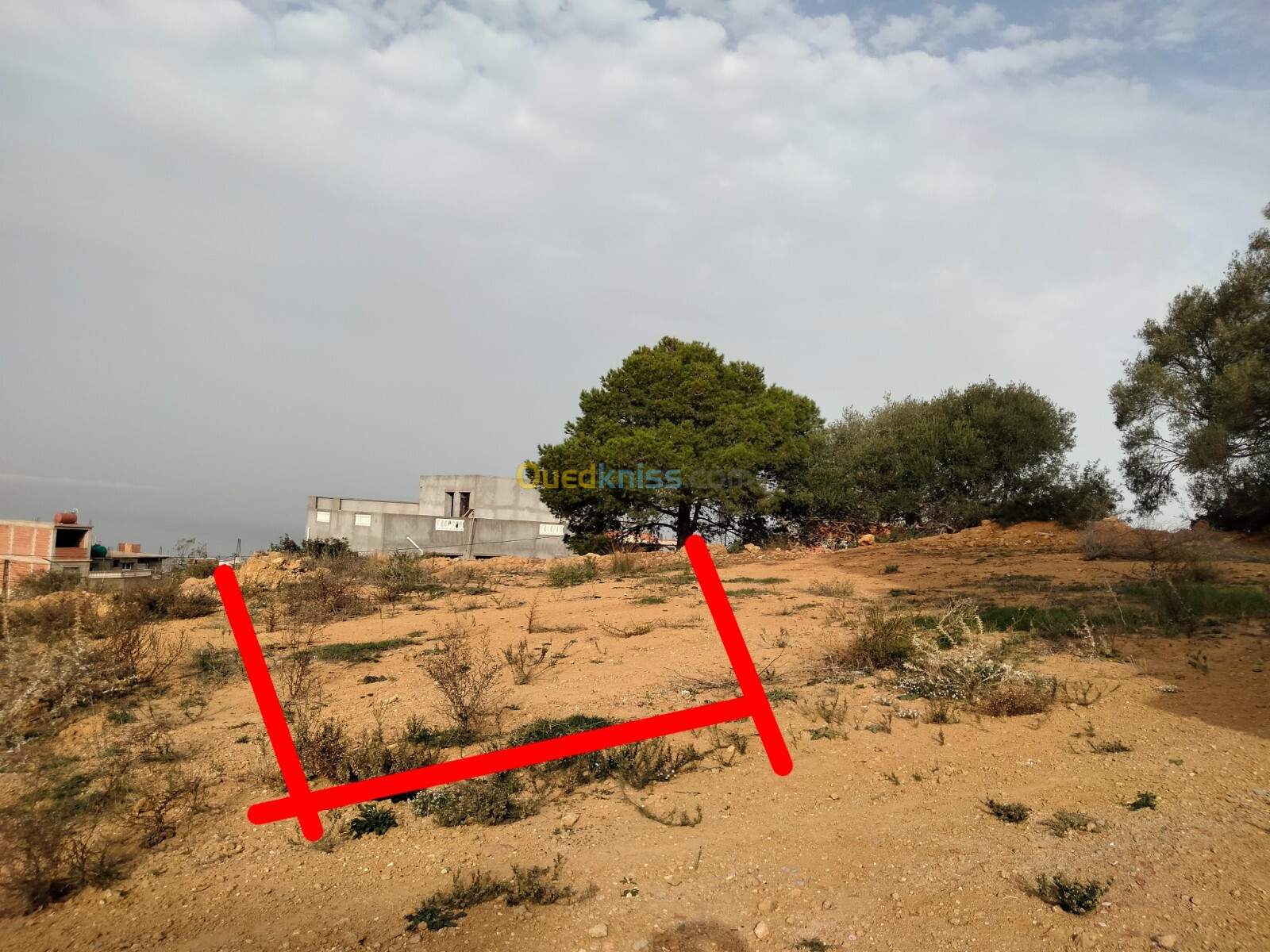 Vente Terrain Tipaza Cherchell