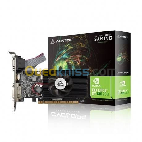 Carte Graphique NVIDIA GT610 2 GB