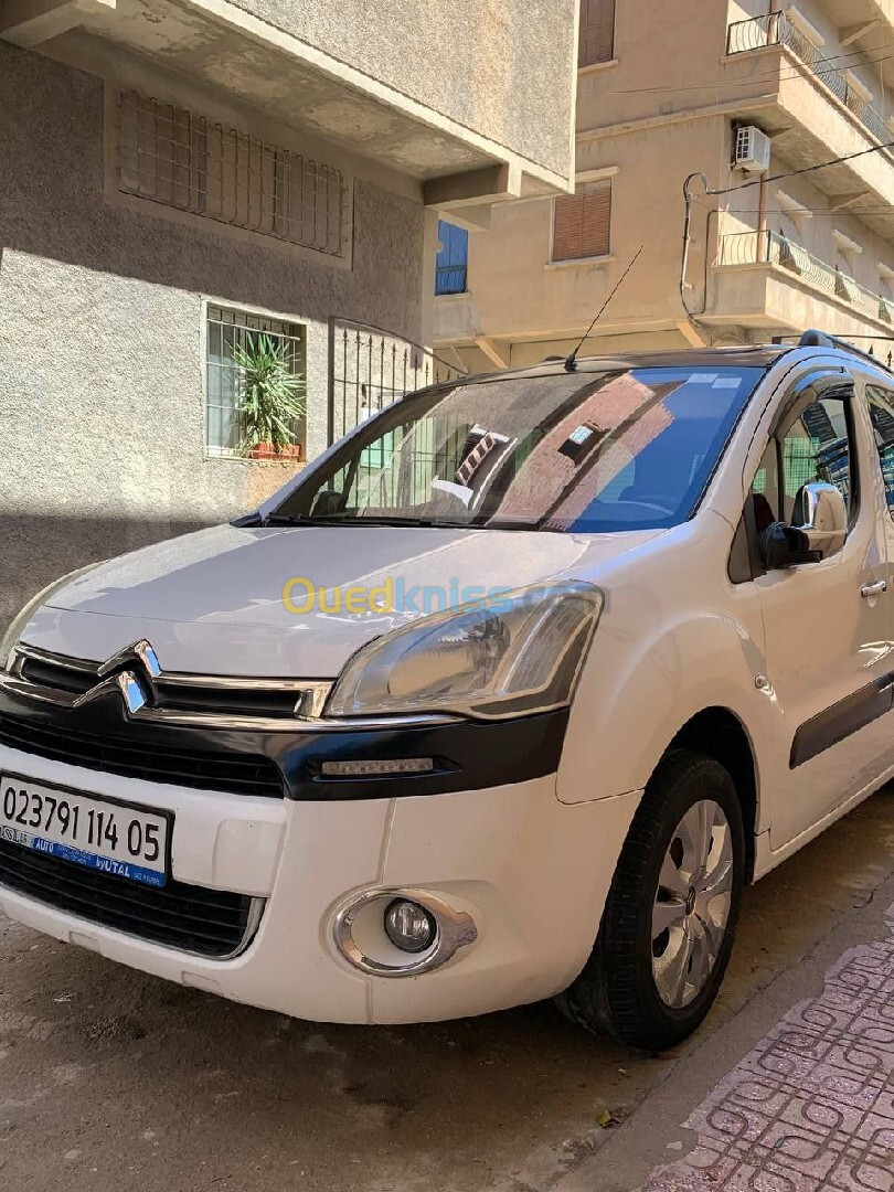 Citroen Berlingo Multispace 2014 