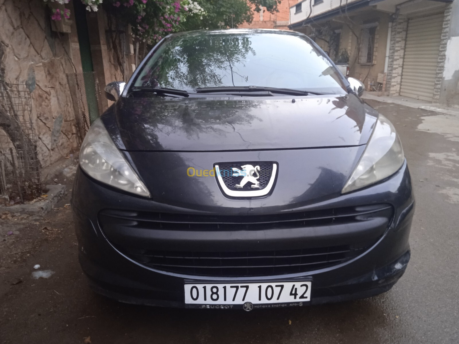 Peugeot 207 2007 207